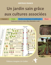 Un jardin sain grâce aux cultures associées