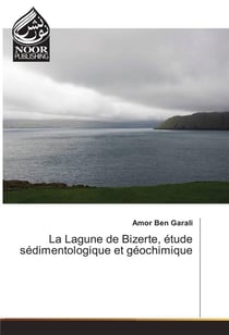 La lagune de bizerte, etude sedimentologique et geochimique