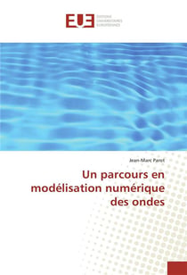 Un parcours en modelisation numerique des ondes