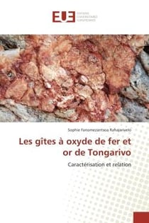 Les gîtes A oxyde de fer et or de Tongarivo : Caracterisation et relation