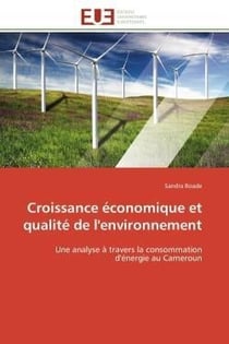Croissance economique et qualite de l'environnement - une analyse a travers la consommation d'energi