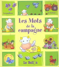 Les mots de la campagne