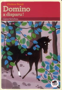Domino a disparu !