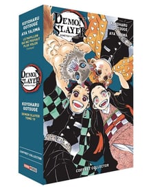 Demon slayer : coffret : t.19 et roman t.2