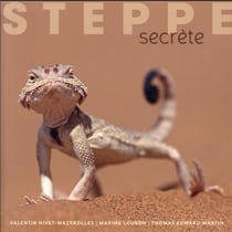 Steppe secrète