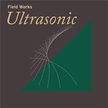 Field works : ultrasonic