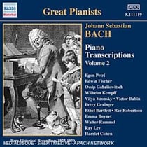 Transcriptions Pour Piano /vol.2