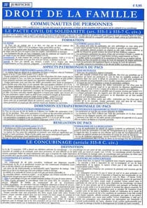 Droit de la famille (édition 2009)