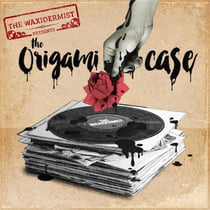 The origami case