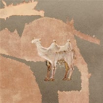 Corsano, Maranha, Youngs