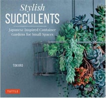 Stylish succulents - japanese inspired container - gardens for small spaces