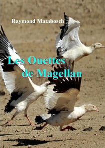 Les Ouettes de Magellan