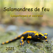 Salamandres de feu - sympathiques et secretes (calendrier mural 2021 300 * 300 mm square) - les popu