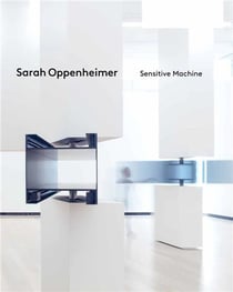 Sarah Oppenheimer : sensitive machine