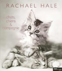 Chats, chiens et compagnie