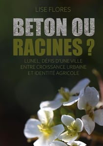 Béton ou Racines ? : Lunel, défis d'une ville entre croissance urbaine et identité agricole