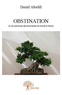 Obstination ou les aventures déconcertantes de nymat le fourbe