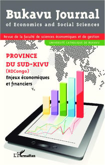 Province du Sud-Kivu (RDCongo) - enjeux économiques et financiers