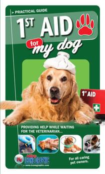 1st aid for my dog