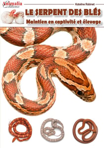 L'élevage du serpent des blés
