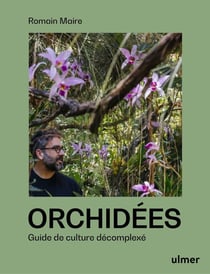 Orchidées : Guide de culture décomplexé