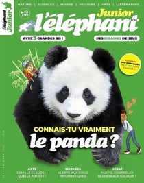 L'éléphant junior n.26