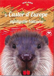 Le castor d'Europe, un infatigable bâtisseur
