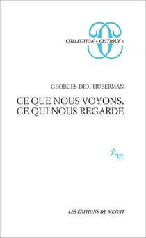 Ce que nous voyons, ce qui nous regarde