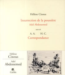 Insurrection de la poussière - Adel Abdessemed