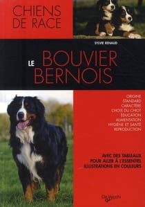Le bouvier bernois