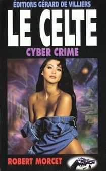 Cyber crimes