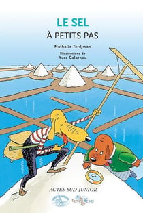 A PETITS PAS : le sel