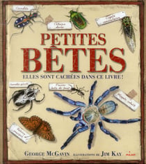 Petites bêtes