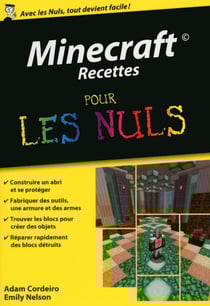 Minecraft Recettes Poche Pour Les Nuls
