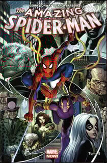 The amazing Spider-Man Tome 5 : descente aux enfers