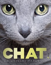 Chats, un univers fabuleux