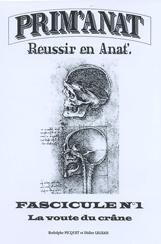 La voûte du crâne