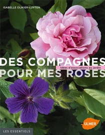 Des Compagnes Pour Mes Roses : idées D'Associations Au Jardin