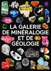 La galerie de minéralogie et de géologie - le guide