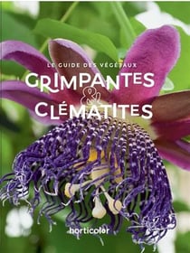 Grimpantes & clématites : Le guide des végétaux