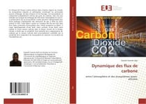 Dynamique des flux de carbone