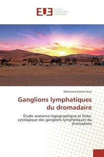Ganglions lymphatiques du dromadaire : Étude anatomo-topographique et histo-cytologique des ganglions lymphatiques du dromadaire