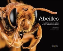Abeilles - face-à-face avec les espèces les plus incroyables du monde