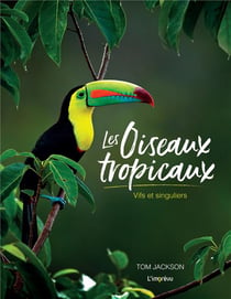 Les oiseaux tropicaux : vifs et singuliers