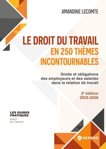 Le droit du travail en 250 thèmes incontournables : Droits et obligations des employeurs et des salariés dans la relation de travail (édition 2025/2026)