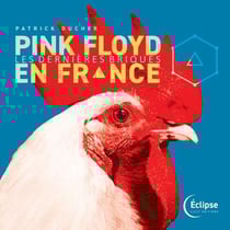 Pink Floyd en france : les dernieres briques
