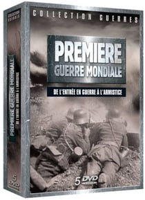 Première Guerre Mondiale : De l'entrée en guerre à l'Armistice