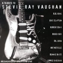 A tribute to stevie Ray Vaughan