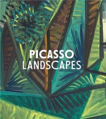 Picasso landscapes : out of bounds