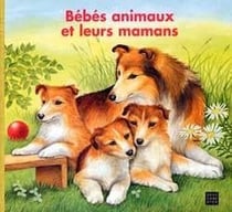 Bebes animaux et leurs mamans